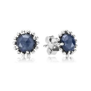 💙Retired Pandora Midnight Earrings💙